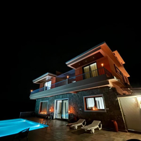 Villa Nature Nest